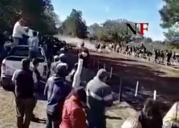 Murió al ser atropellado por un caballo en el Hípico de Riacho He Hé (video)