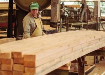 Faltante de divisas complica la importación de insumos en la industria maderera