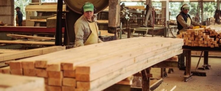 Faltante de divisas complica la importación de insumos en la industria maderera