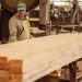 Faltante de divisas complica la importación de insumos en la industria maderera