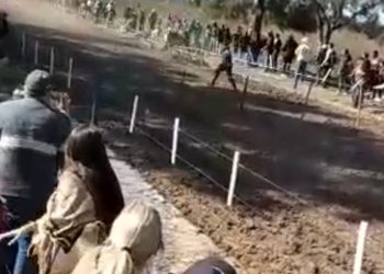 Muerte en el hípico: el hombre atropellado por el caballo habría estado en un lugar prohibido