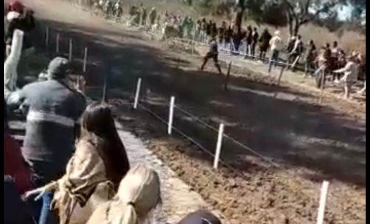 Muerte en el hípico: el hombre atropellado por el caballo habría estado en un lugar prohibido