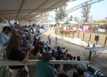 Del 1 al 4 de septiembre será la edición 2022 de la Expo Rural Formosa