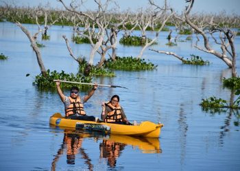 La belleza del bañado La Estrella fue destacada en el diario Página 12