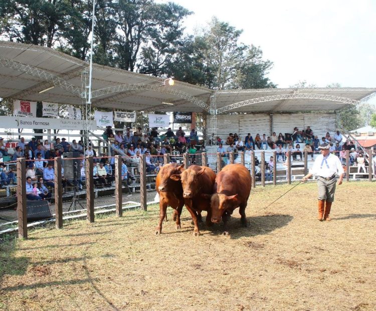 Del 1 al 4 de septiembre será la edición 2022 de la Expo Rural Formosa