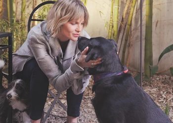 Promueven en Formosa un proyecto de ley que reconozca a animales como sujetos de derecho