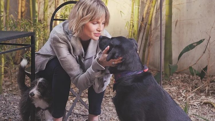 Promueven en Formosa un proyecto de ley que reconozca a animales como sujetos de derecho