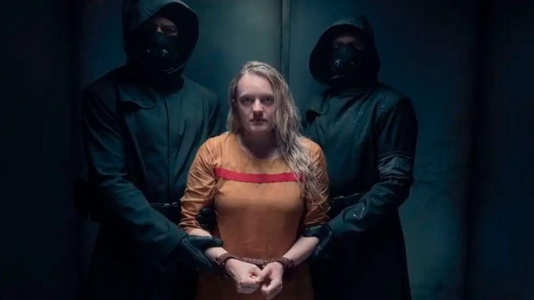 Plataformas digitales: todo lo que usted puede ver y nunca se animó a preguntar