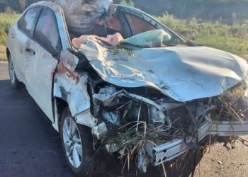 Murió Cachito Espinoza, ex jugador de Olimpia: con su auto chocó animales sueltos en la ruta 86