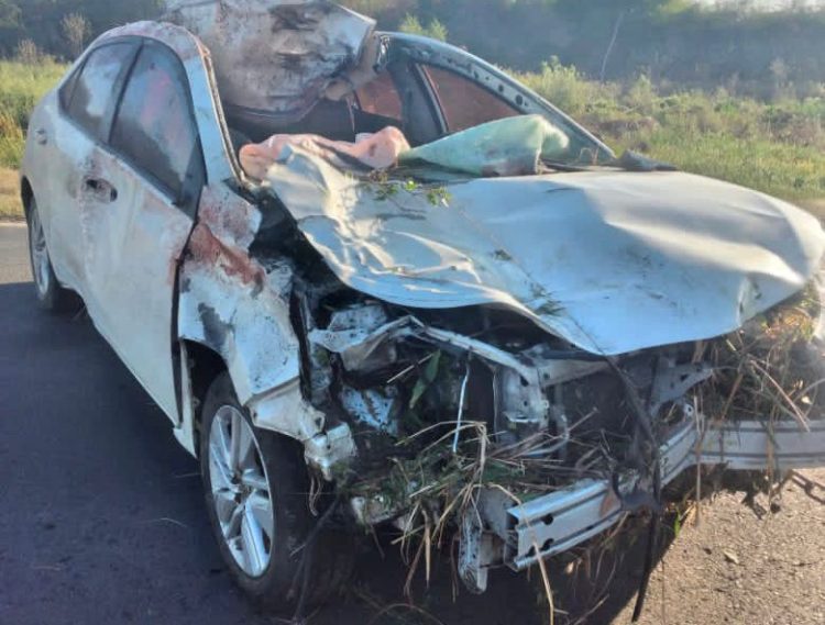 Murió Cachito Espinoza, ex jugador de Olimpia: con su auto chocó animales sueltos en la ruta 86