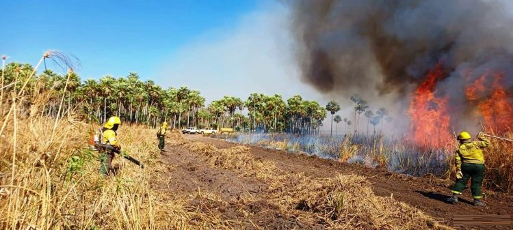 Unas 15 mil hectáreas del Parque nacional Pilcomayo fueron consumidas por el fuego