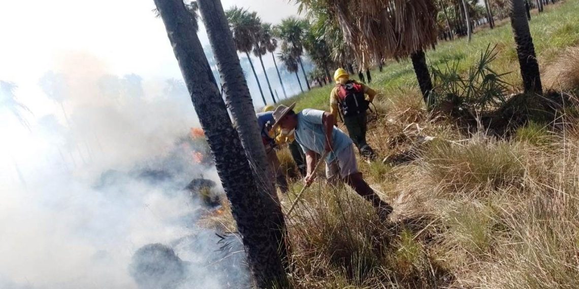 Unas 15 mil hectáreas del Parque nacional Pilcomayo fueron consumidas por el fuego