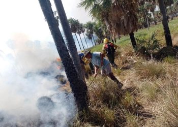 Unas 15 mil hectáreas del Parque nacional Pilcomayo fueron consumidas por el fuego