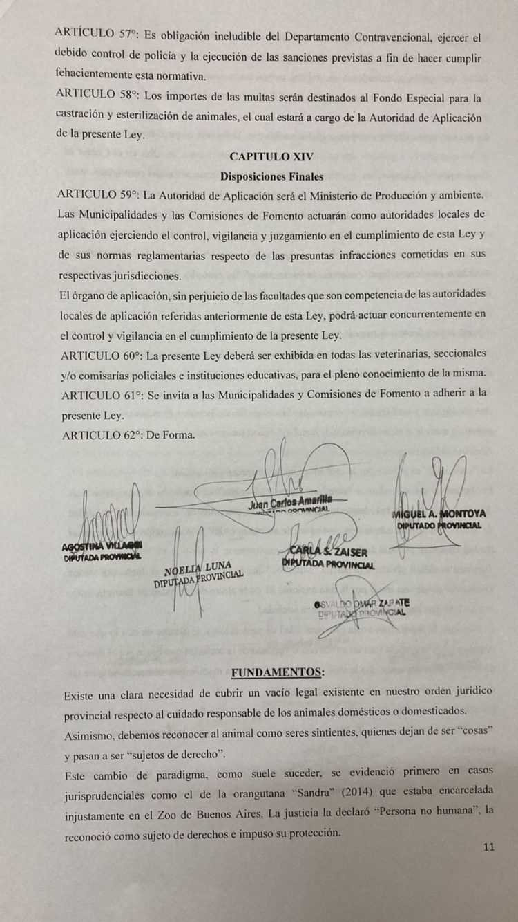 Promueven en Formosa un proyecto de ley que reconozca a animales como sujetos de derecho