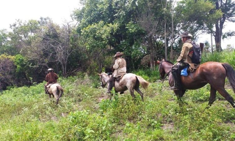 Intenso tiroteo entre policías y abigeos dejó como saldo dos muertos