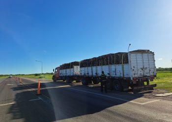 Camioneros formoseños detenidos por transportar cocaína y dólares
