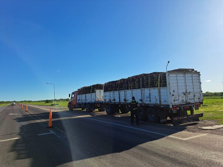 Camioneros formoseños detenidos por transportar cocaína y dólares