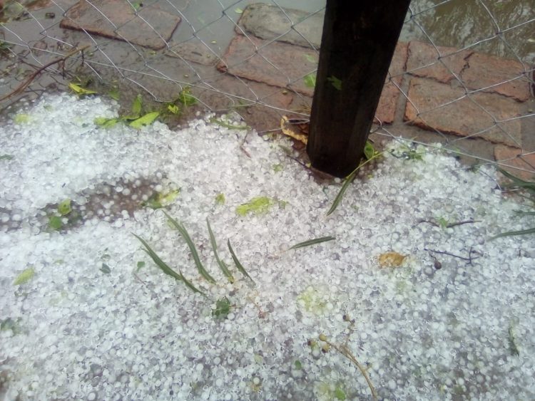 Lluvia caída en la provincia, pueblo por pueblo
