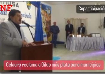 Celauro pidió más coparticipación a Gildo Insfrán para mejorar ingresos de municipales