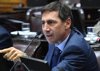 Naidenoff sobre Insfrán: “Agraviar, ofender y violentar es su costumbre”