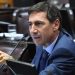 Naidenoff sobre Insfrán: “Agraviar, ofender y violentar es su costumbre”