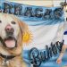 La historia del hincha que llevó la bandera argentina con su perro «Bubba» al Mundial de Qatar