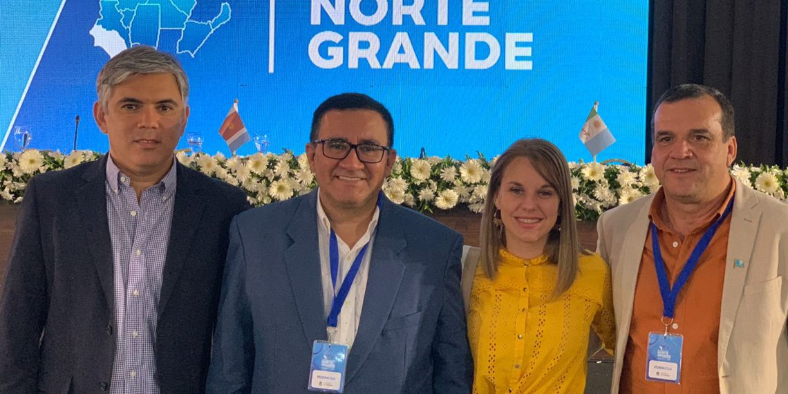 El Parlamento del Norte Grande aprobó pedido de repavimentación de 98 km de la ruta 95