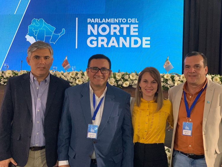 El Parlamento del Norte Grande aprobó pedido de repavimentación de 98 km de la ruta 95