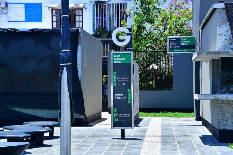 Hoy inauguran el Paseo Guadalupe Florece