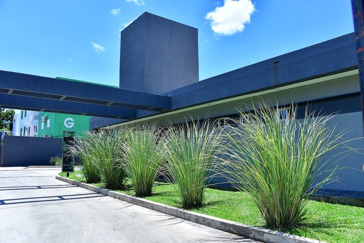 Hoy inauguran el Paseo Guadalupe Florece