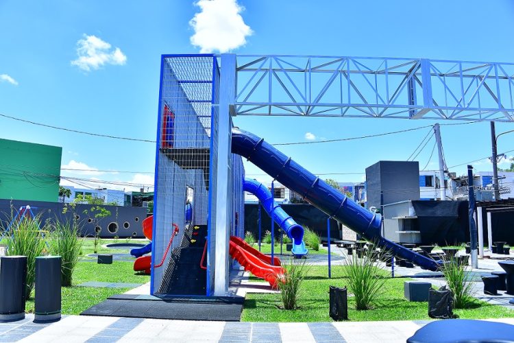 Hoy inauguran el Paseo Guadalupe Florece