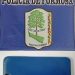 Policías recuperaron un Iphone que robó una joven de 23 años
