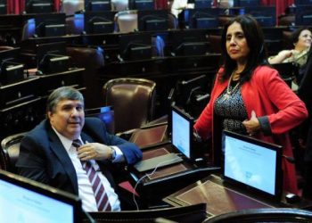 Los senadores formoseños que votaron a favor de la designación de Rosatti y Rosenkrantz en 2016