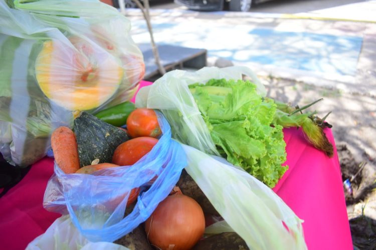 Este martes habrá venta de bolsones saludables