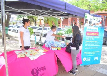 Este martes habrá venta de bolsones saludables