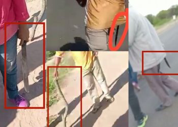 Originarios con armas blancas en el corte de la ruta 81