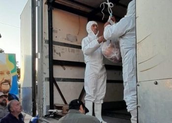 Semana Santa: Comercializarán chivitos del extremo oeste a precios competitivos