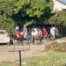 Gresca con herido y evadidos en una fiesta privada no autorizada (video)