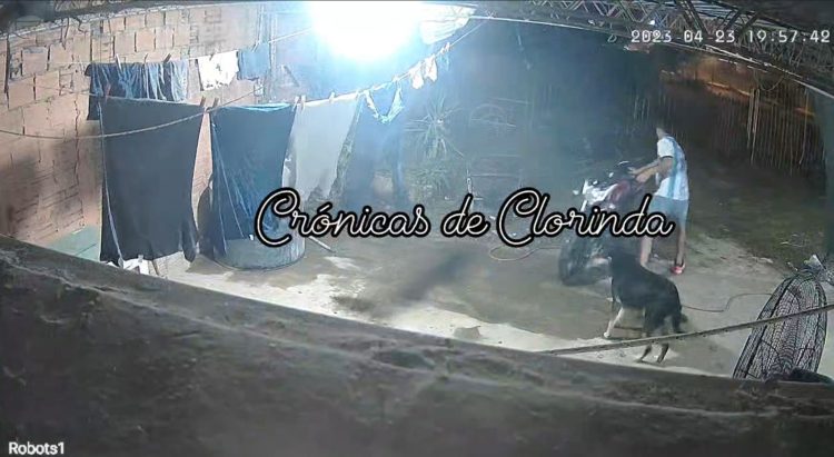 Lo agarraron con las manos en la moto (video)