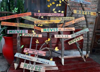 Lanzan una novedosa campaña proselitista ecológica