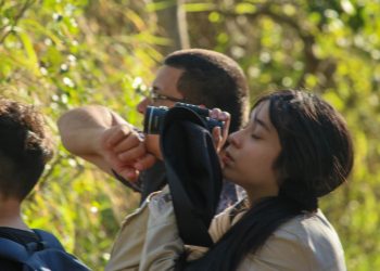 Invitan a fotógrafos aficionados y profesionales al concurso «Aves de Formosa»