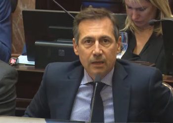 Naidenoff cruzó a Insfrán por su frase contra los porteños: «no representa el sentir del pueblo de la provincia”