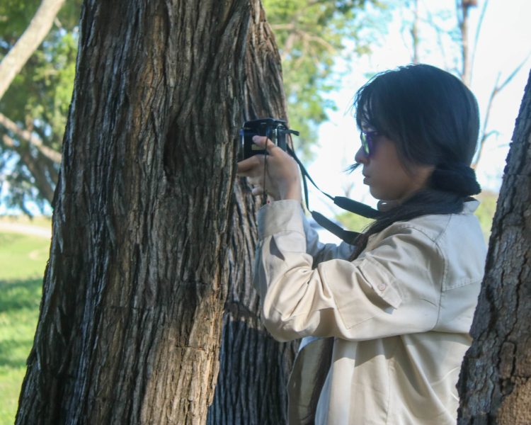 Invitan a fotógrafos aficionados y profesionales al concurso «Aves de Formosa»