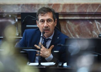 Naidenoff: “jamás responsabilicé a sectores internos de mi partido por una derrota electoral”