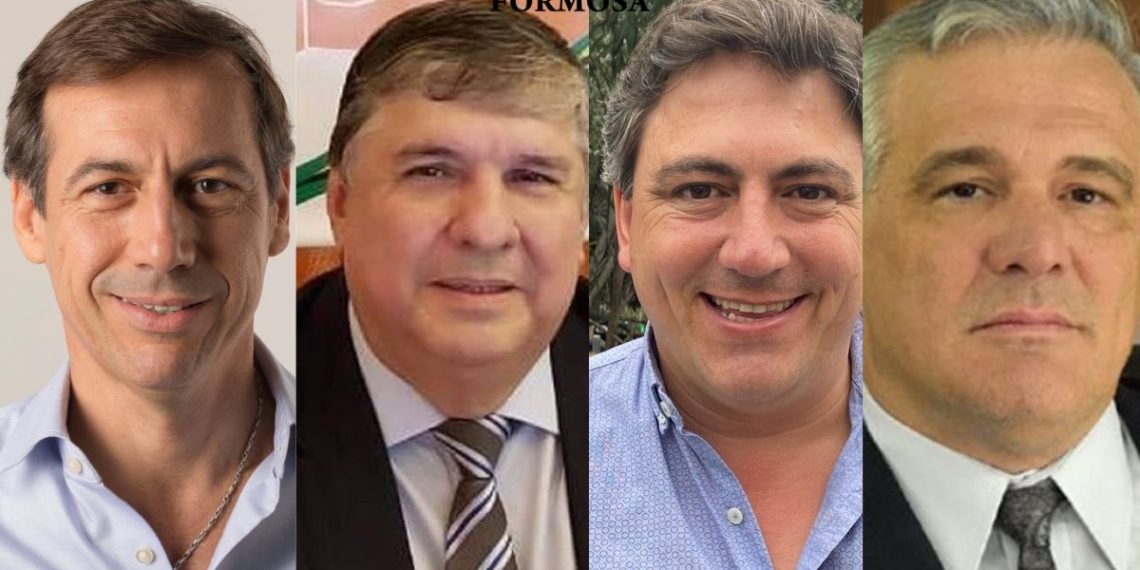 Mayans, Naidenoff, Carbajal y Paoltroni, los candidatos a senadores para las PASO de agosto