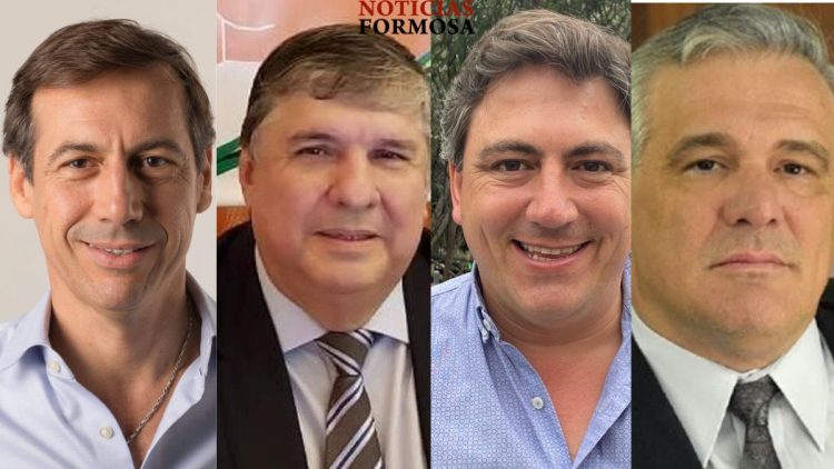 Mayans, Naidenoff, Carbajal y Paoltroni, los candidatos a senadores para las PASO de agosto