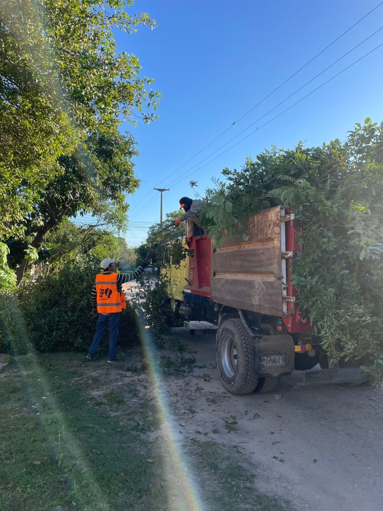 La municipalidad informó sobre la ejecución de trabajos en distintos puntos de la capital