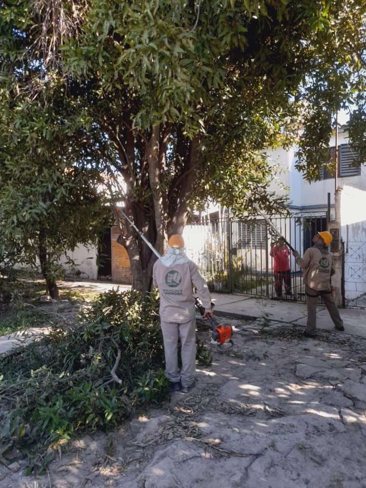 La municipalidad informó sobre la ejecución de trabajos en distintos puntos de la capital