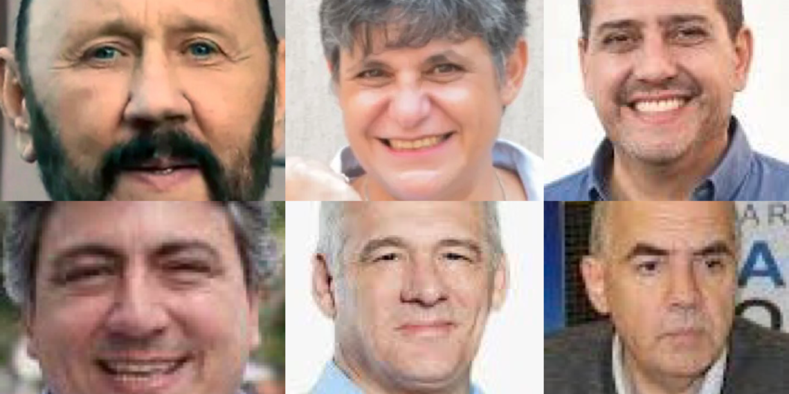 Candidaturas calesita: quién puede tirar la primera piedra?