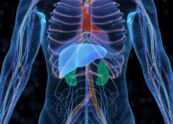Enfermedad del hígado graso es considerada una epidemia silenciosa en el mundo
